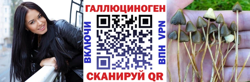 Галлюциногенные грибы Magic Shrooms  Шахунья 